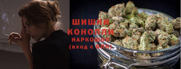 дживик Осинники