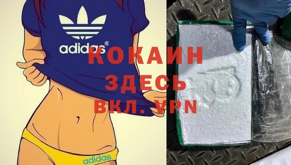 дживик Осинники