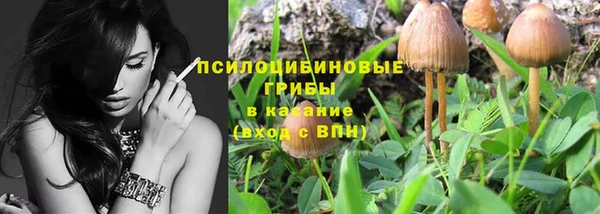 дживик Осинники