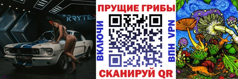 Галлюциногенные грибы Psilocybe  Купить закладки  Звенигово 